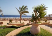 SOLYMAR REEF MARSA