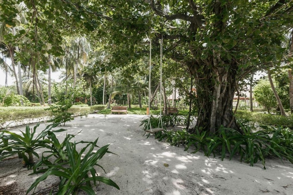 REETHI FARU RESORT