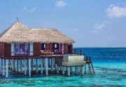 COCO BODU HITHI