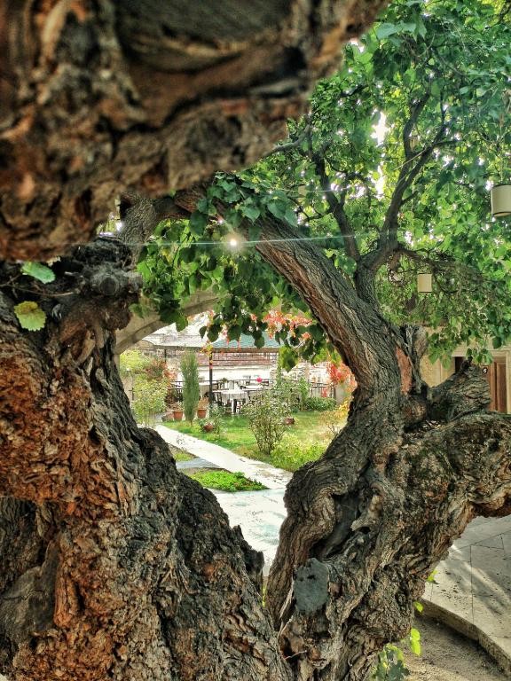 DERVISH CAVE HOUSE