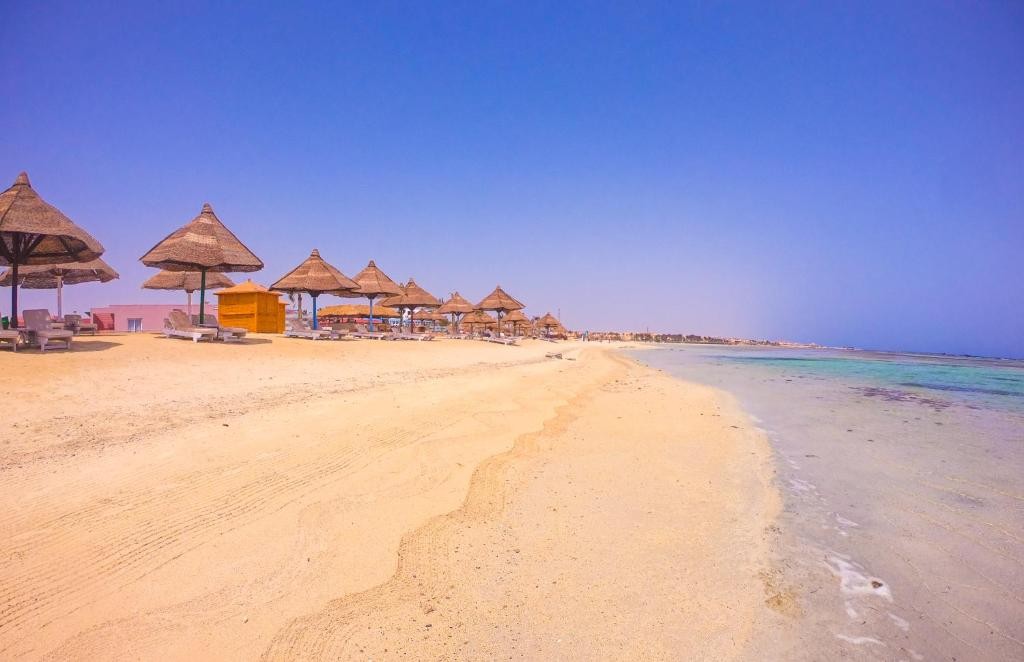 ALEXANDER THE GREAT MARSA ALLAM