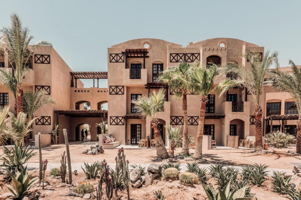 COOK'S CLUB EL GOUNA (ADULT ONLY +16)