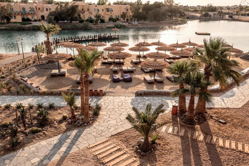 COOK'S CLUB EL GOUNA (ADULT ONLY +16)