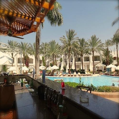 LUNA SHARM