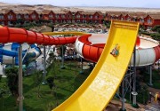 PICKALBATROS JUNGLE AQUA PARK RESORT - NEVERLAND HURGHADA