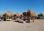 ROYAL REGENCY CLUB