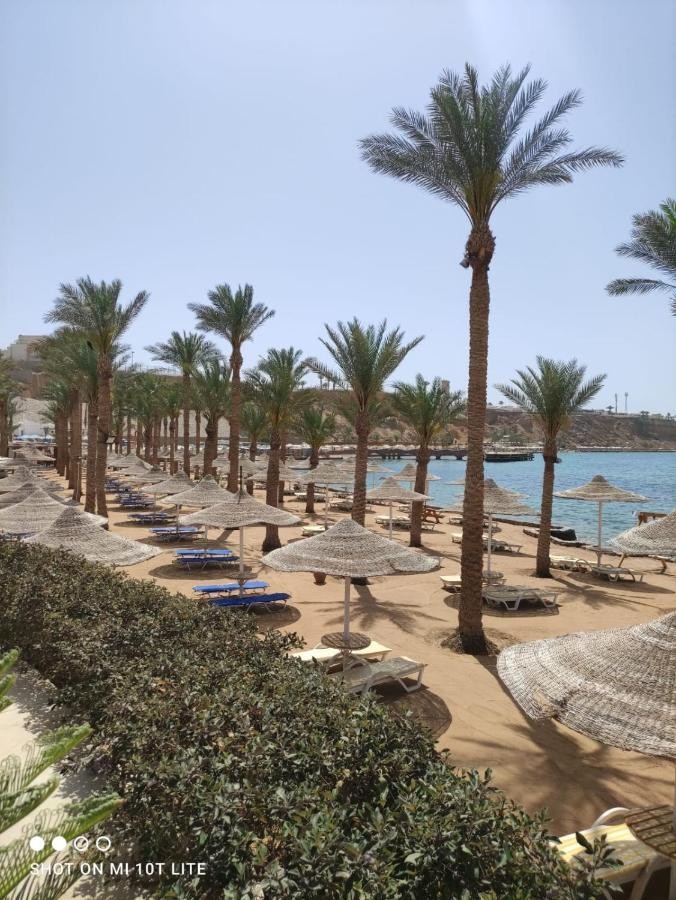 SETI SHARM RESORT