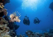 TURTLE'S INN HOTEL EL GOUNA