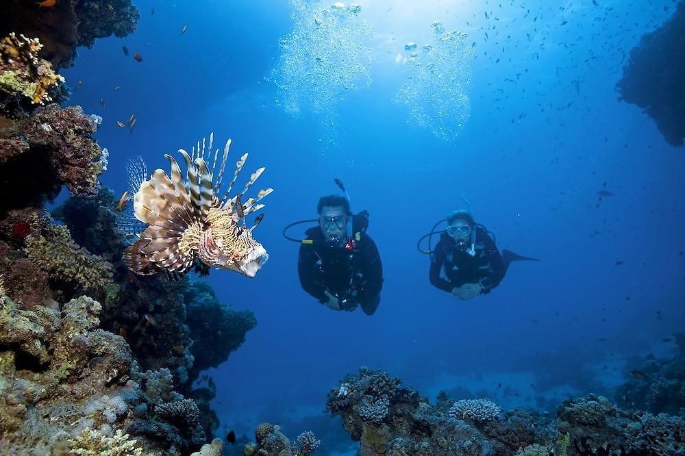 TURTLE'S INN HOTEL EL GOUNA