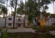 SIU COLLECTION (EX.AYDINBEY SIU COLLECTION)