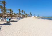 PALM AZUR